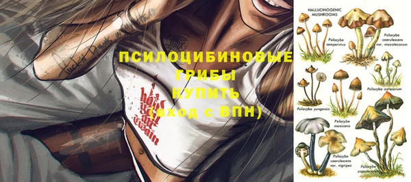 mdpv Беломорск