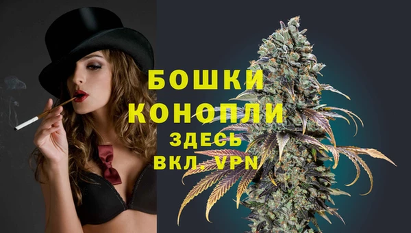 2c-b Белокуриха